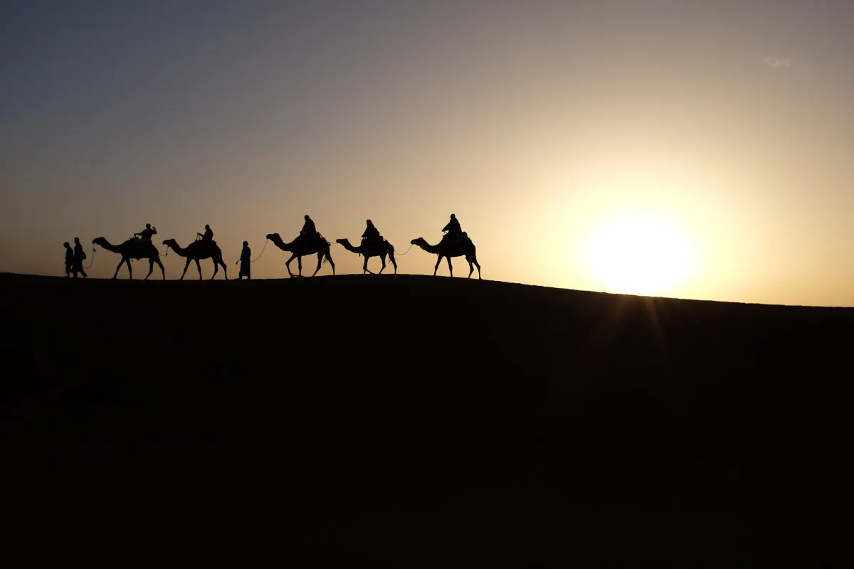 Une caravane de chameaux en ombres chinoises sur une crête, un soleil bas juste devant