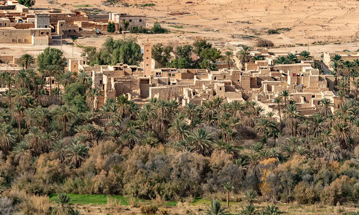 Un ksar de pisé aux toits plats serré autour de son minaret, entouré de palmiers, avec des cultures en contrebas